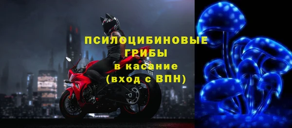 стаф Заволжье