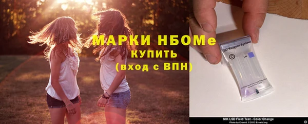 индика Зеленодольск