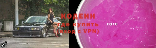 индика Зеленодольск