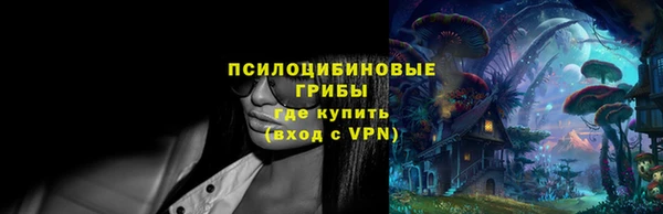 PSILOCYBIN Заводоуковск