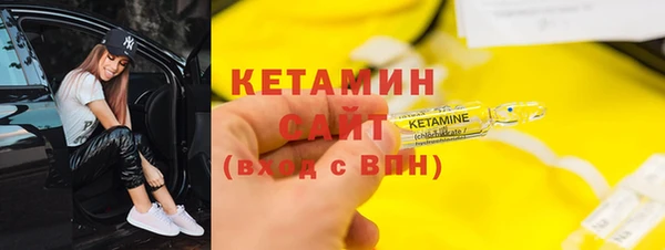 сатива Зеленокумск