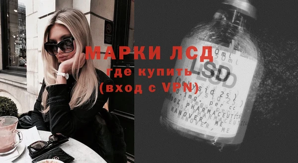 индика Зеленодольск
