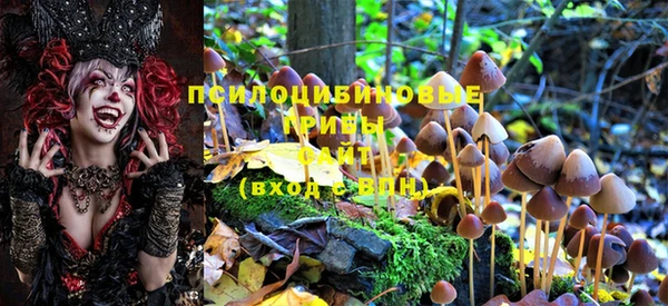 индика Зеленодольск