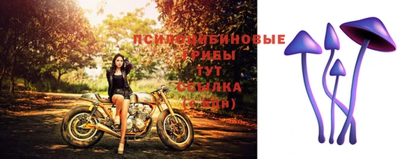 индика Зеленодольск