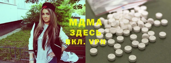 индика Зеленодольск