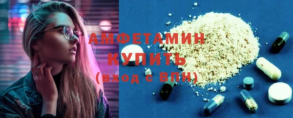 индика Зеленодольск