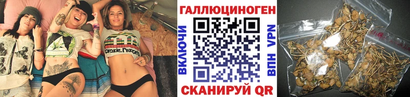 Галлюциногенные грибы мухоморы  сайты даркнета как зайти  Зерноград  даркнет сайт 